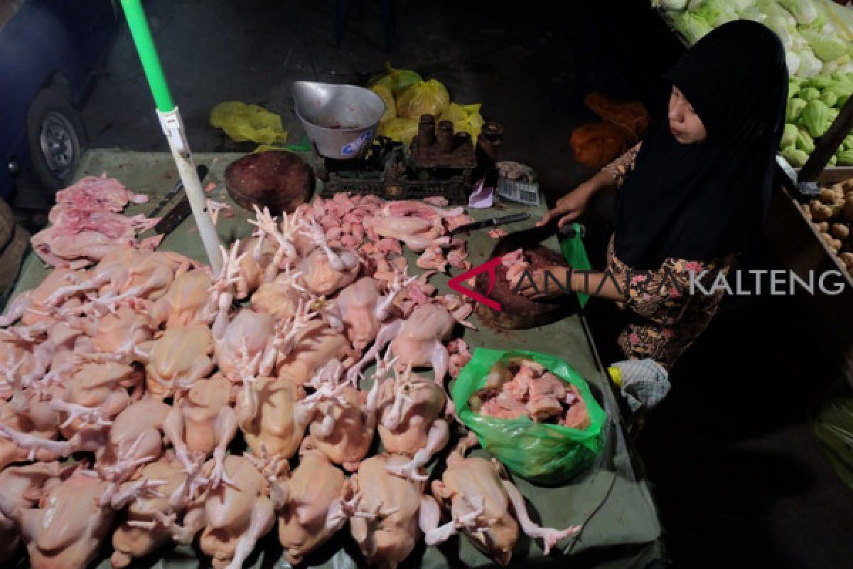 Harga ayam potong di Seruyan kembali melonjak jadi Rp55 ribu