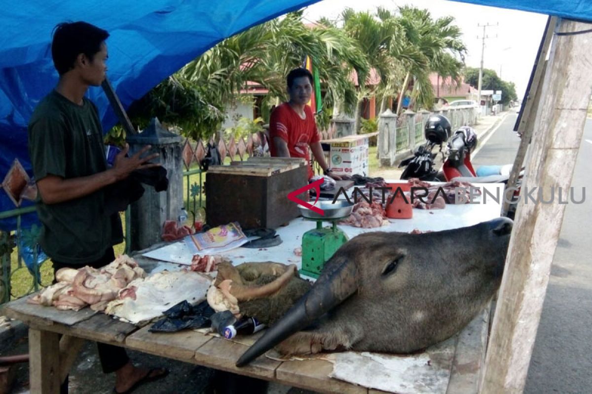 Harga daging kerbau di Mukomuko capai Rp150.000/kg