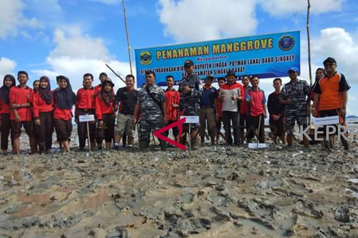 DLH Lingga tanam ribuan bakau di Kualaraya