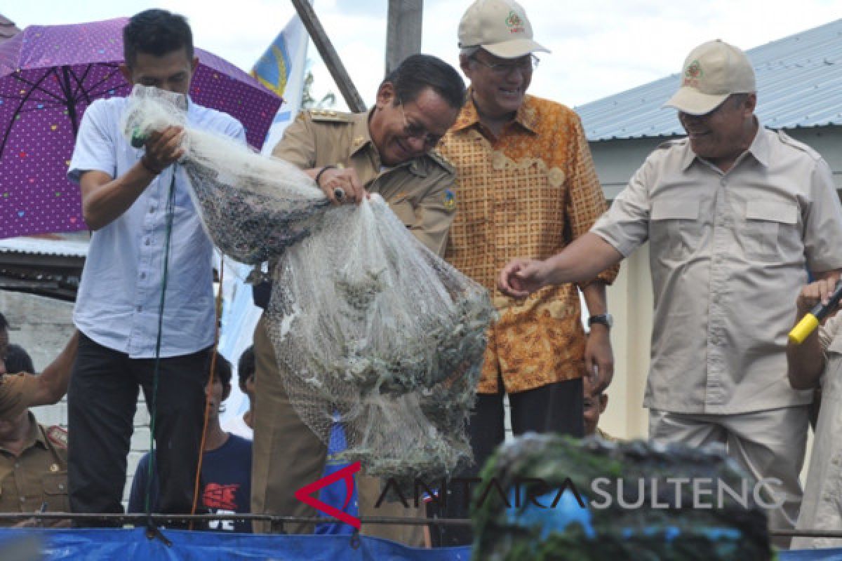 Tambak udang supra intensif skala rakyat hasilkan 700 kg (Vidio)