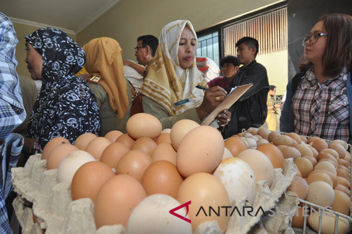 Harga telur di Palu terus melambung