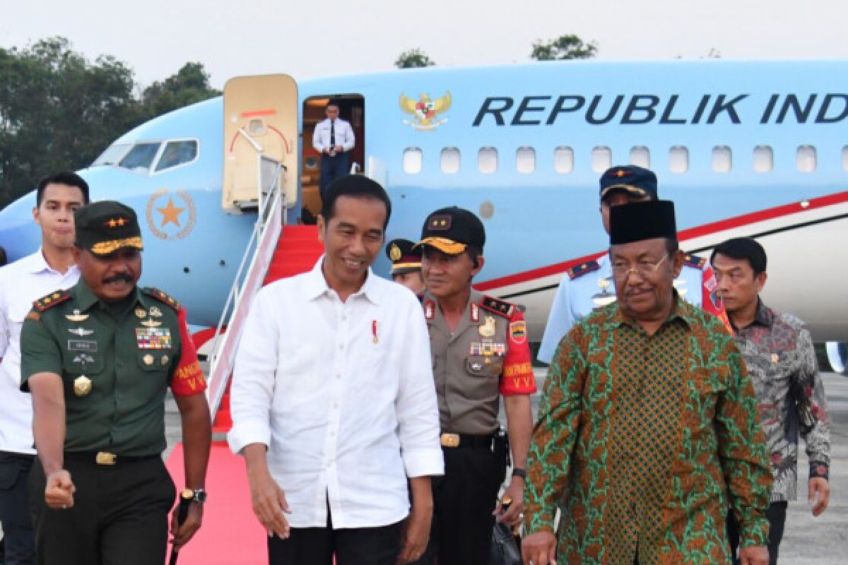 Presiden akan saksikan peremajaan sawit di Riau