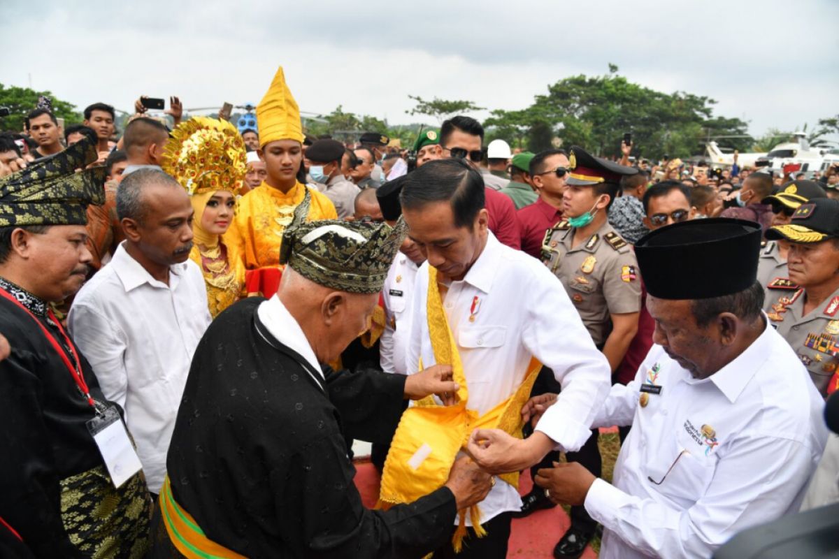 Presiden luncurkan Peremajaan Sawit Rakyat di Riau