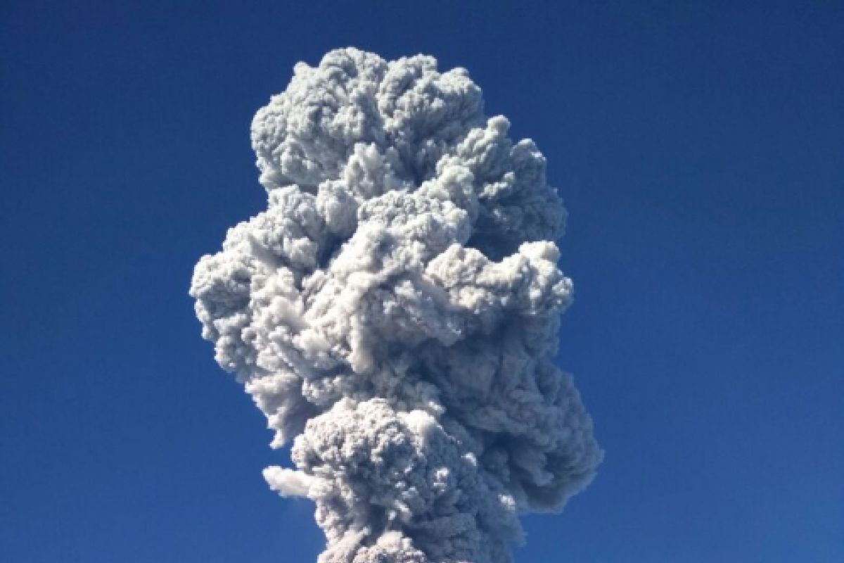 Pascaletusan freatik, Basarnas cek kondisi pendaki di Merapi