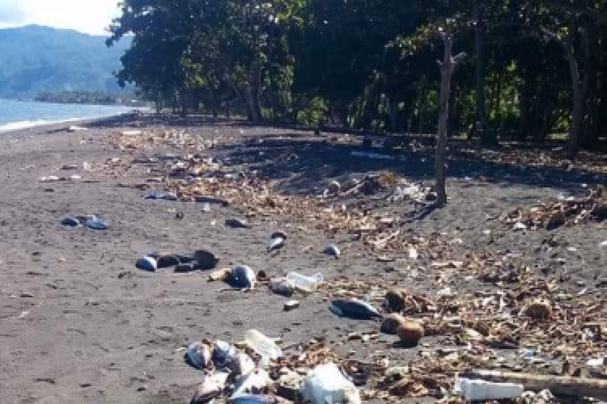 Ratusan ikan cakalang mati di pantai Minahasa Tenggara