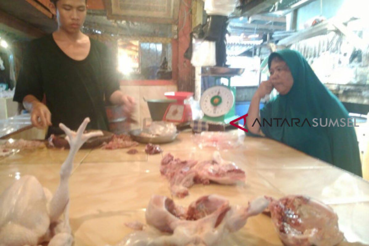 KPPU cari penyebab kenaikan harga daging ayam