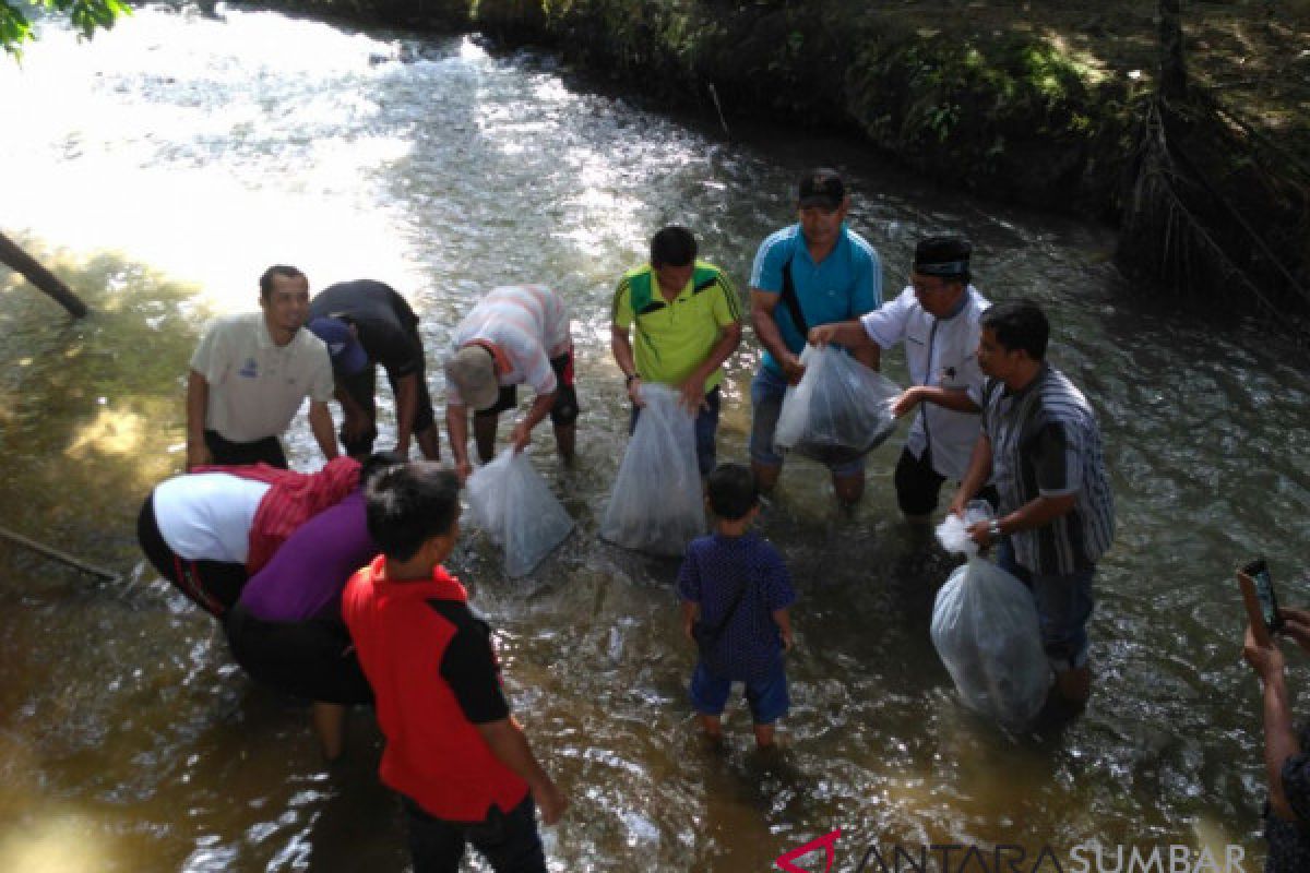 Pemkab Pasaman Barat tebar 15 ribu benih ikan nila di lubuk larangan