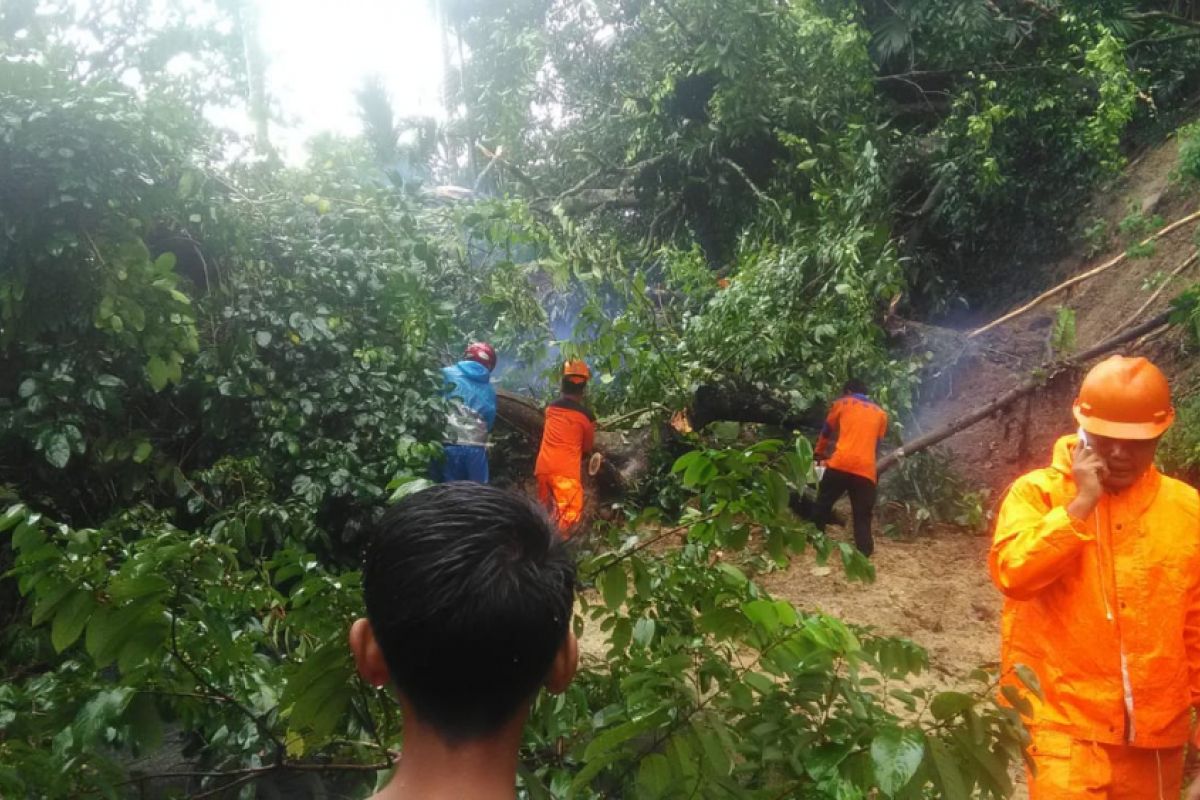 Jalur Kelok 44 Agam tertimbun longsor sepanjang 13 meter