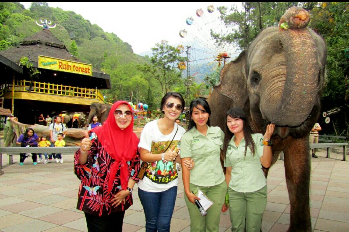 Gajah Sumatera hadiahkan kalungan bunga Istri Kapolda