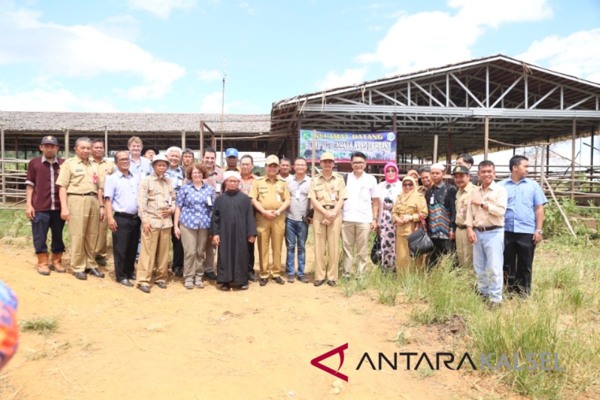 Kedutaan Australia kunjungi pembiakan sapi Tanah Laut