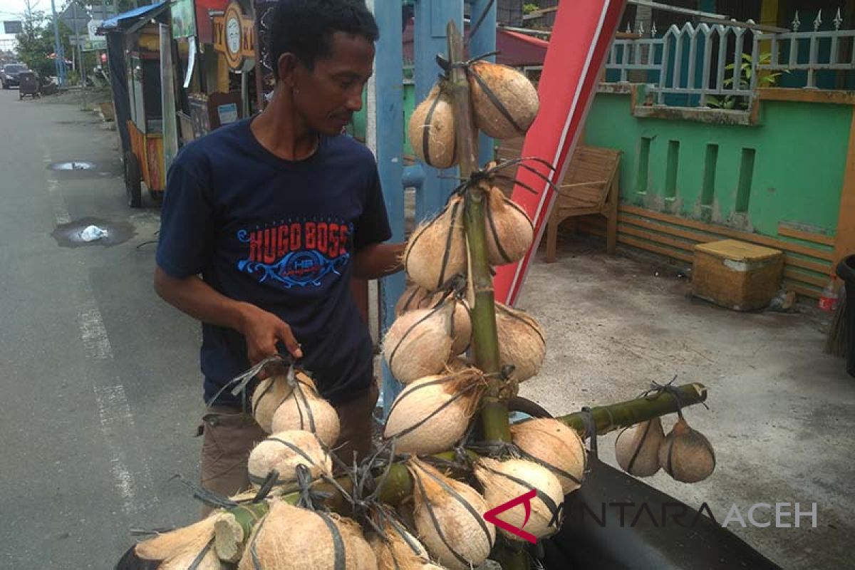 Kelapa bakar menu berbuka di Aceh Barat