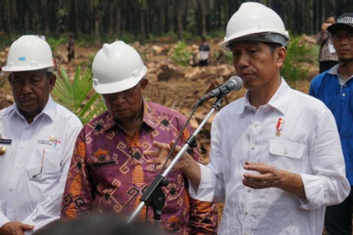 Tim kampanye Capres-Cawapres Jokowi - Ma'ruf Amin  di Kalsel terbentuk