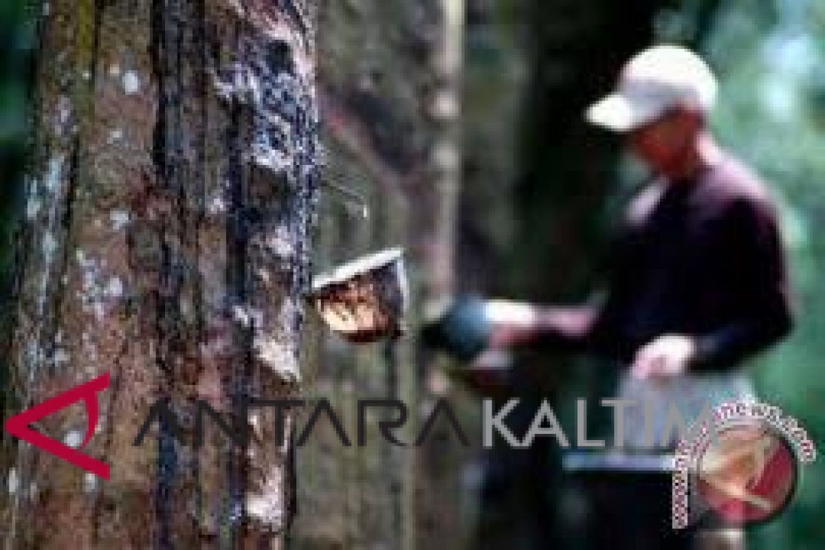 Disbun Kaltim serahkan peralatan pascapanen untuk lima poktan