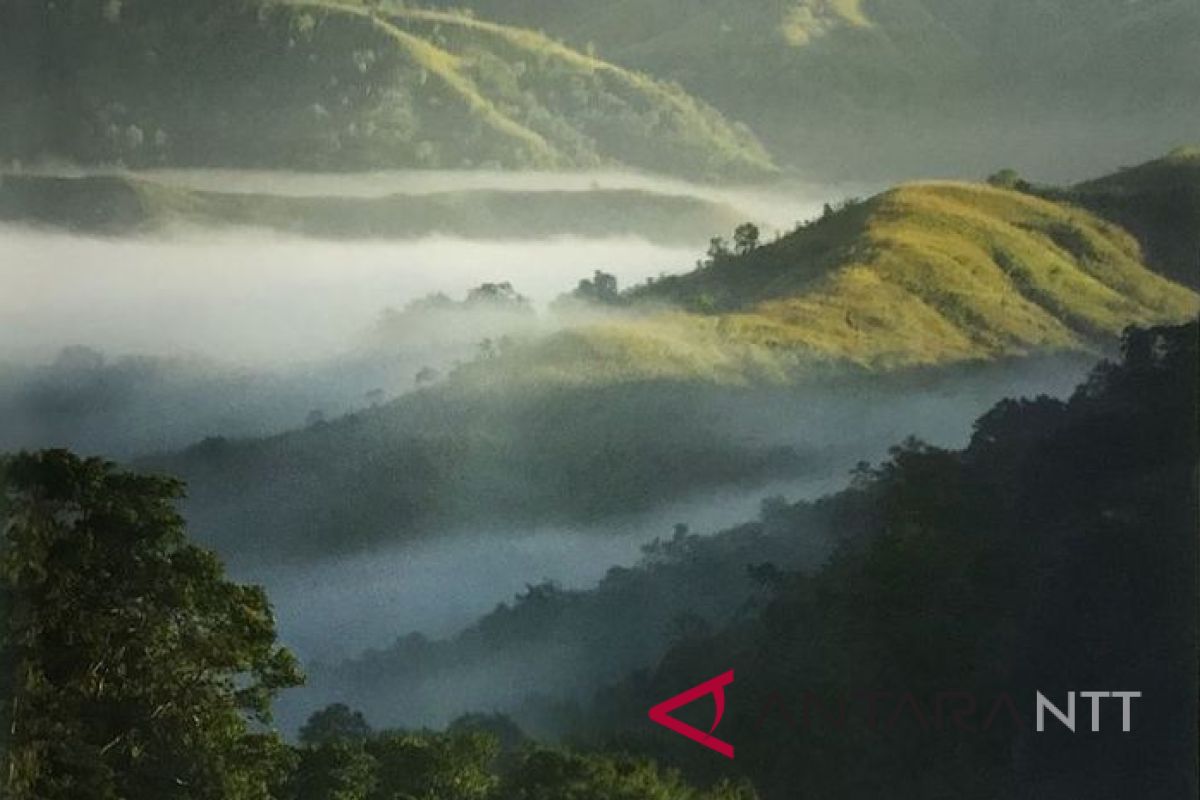 Taman Nasional Matalawa jadi pusat penelitian