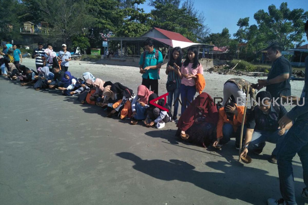 Mahasiswa Jambi pelajari konservasi penyu di Bengkulu