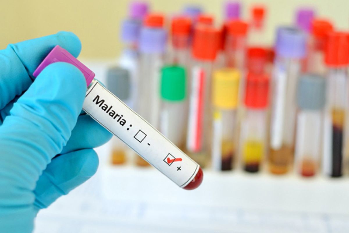 BioNTech mulai ujicoba vaksin malaria