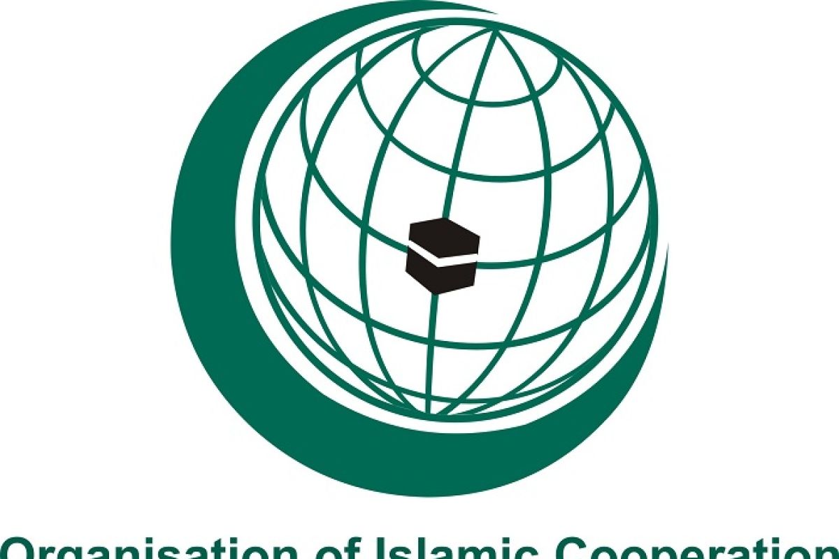 OIC countries face deadly diseases: Minister