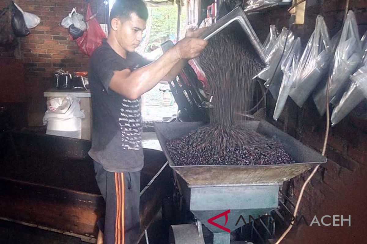 Pengolahan kopi di Banda Aceh minim perhatian