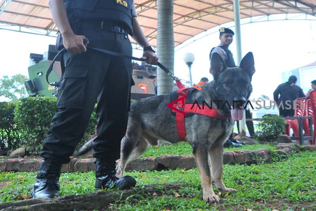 Polisi terjunkan Jibom dan unit satwa K9