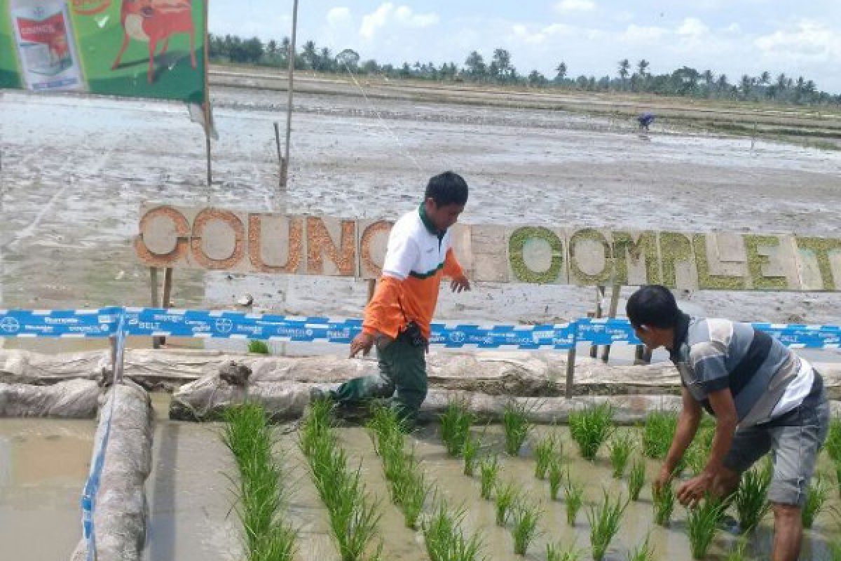 Kementan: Kebutuhan herbisida masih tinggi