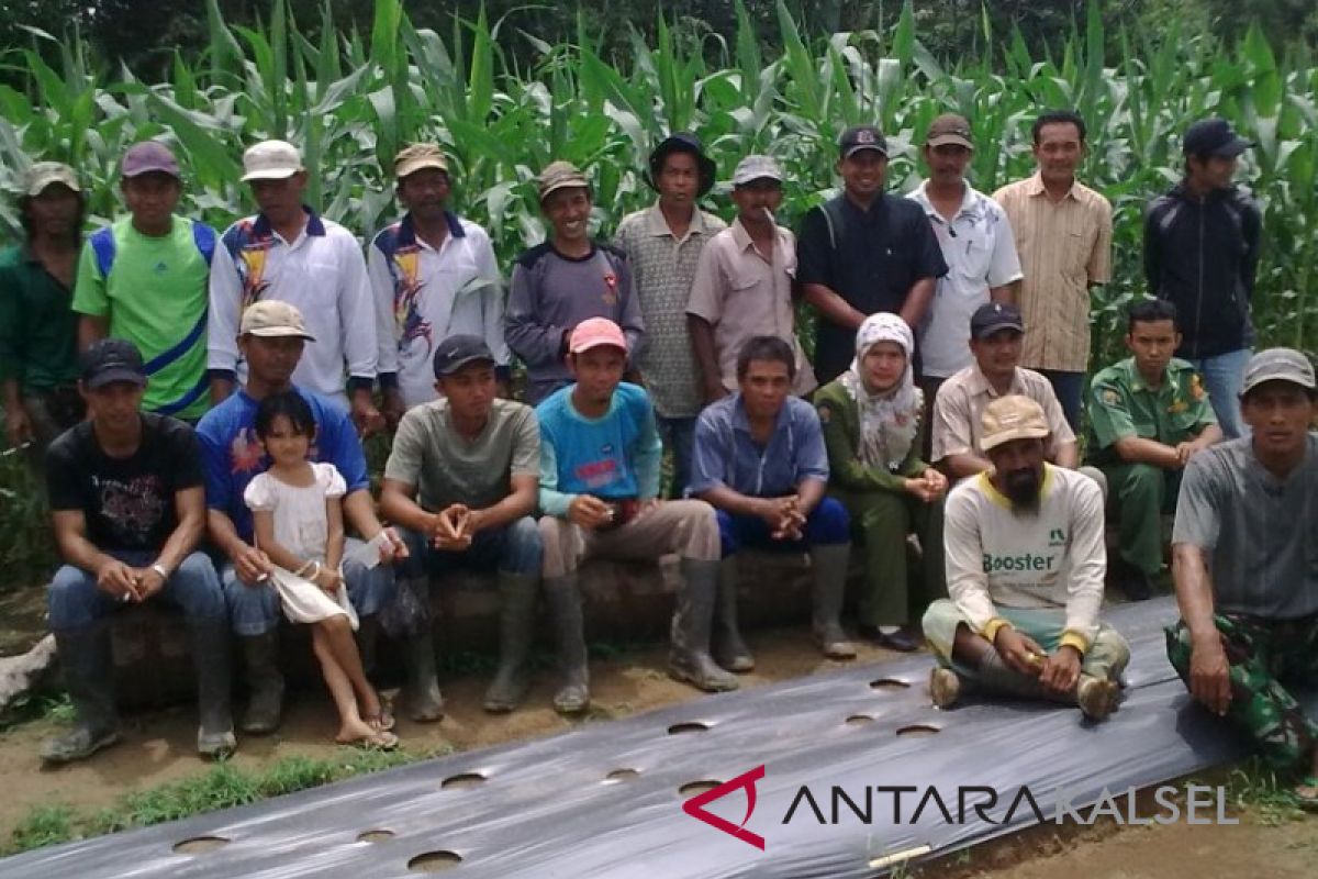 HST's farmers group the best in South Kalimantan