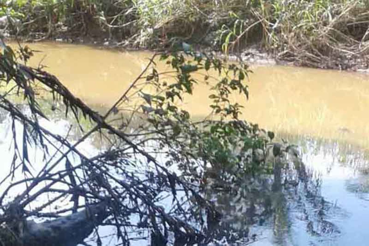 Warga Bengkulu Tengah keluhkan pencemaran Sungai Susup