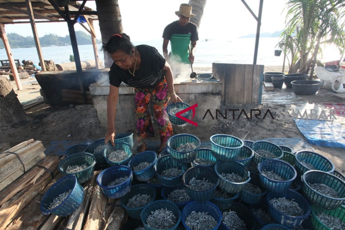 Tangkapan ikan nelayan Pesisir Selatan belum mencapai target tahunan