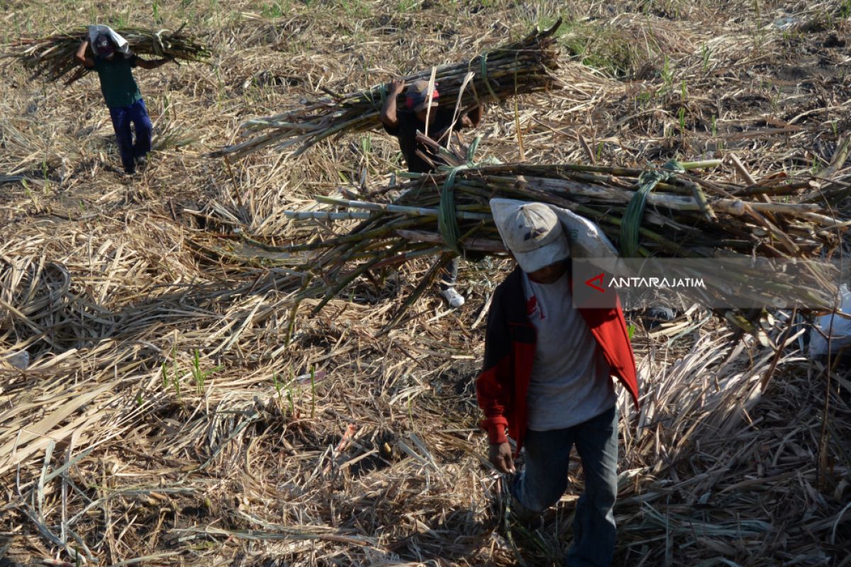 Anggota Komisi VI DPR dorong Kemenperin audit pabrik gula KTM di Jatim