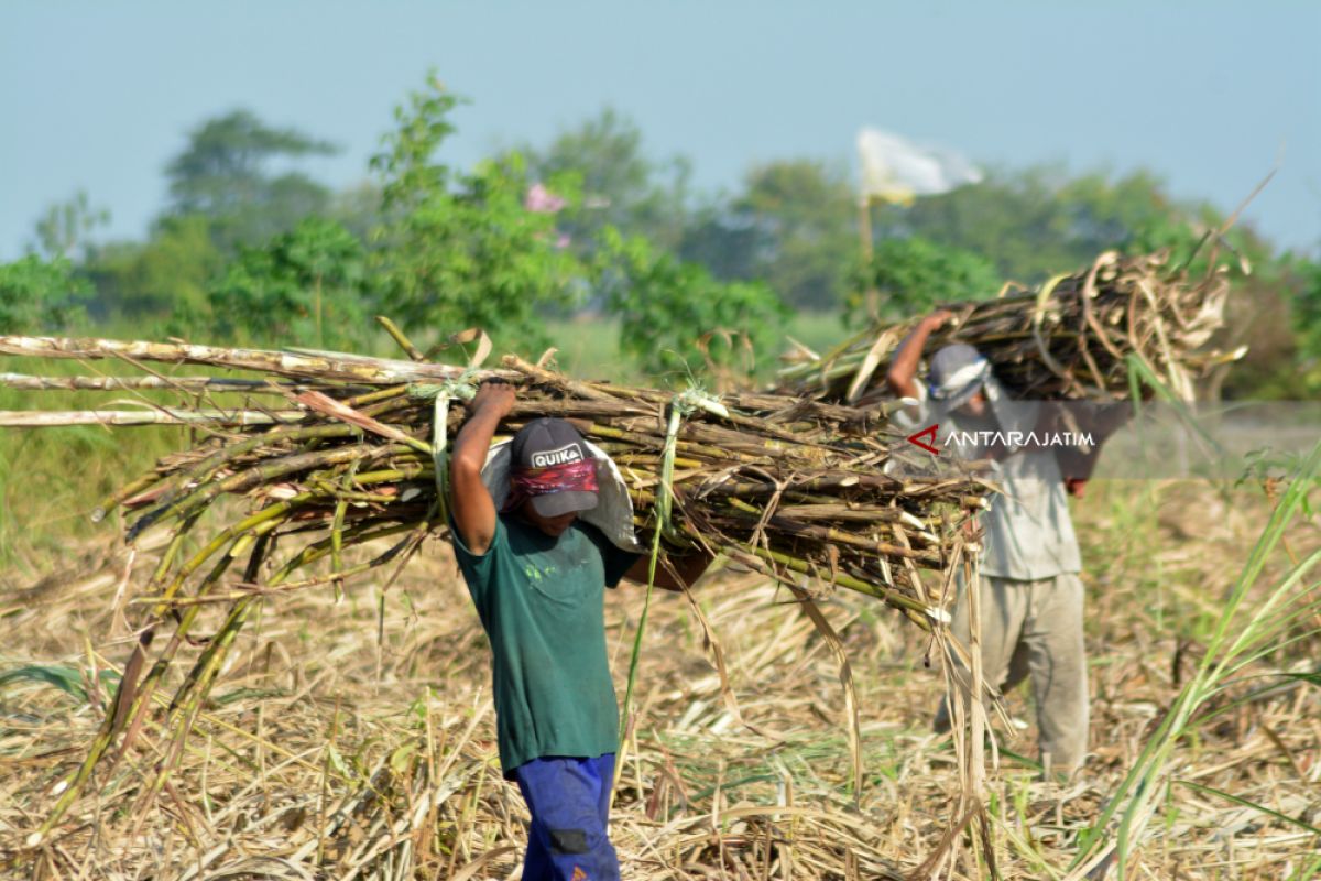 PTPN X garap hilirisasi produk, salah satunya gula ritel