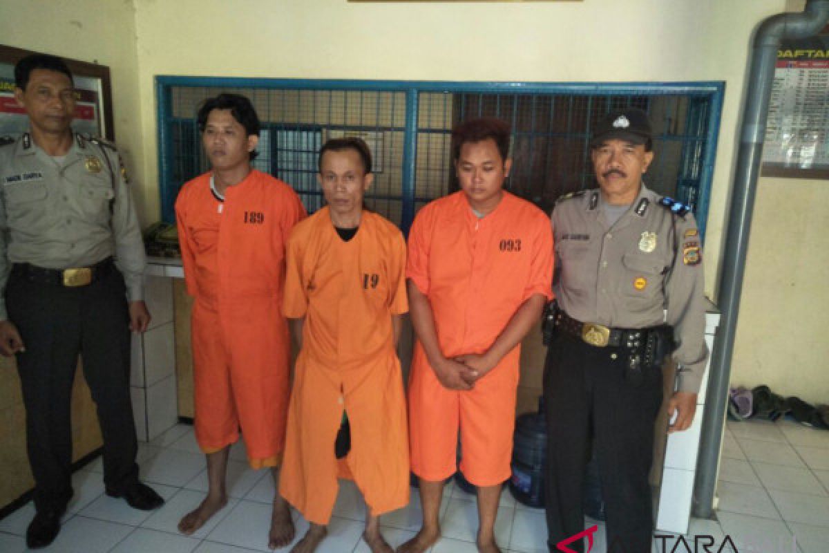 Tiga pengedar pil koplo ditangkap