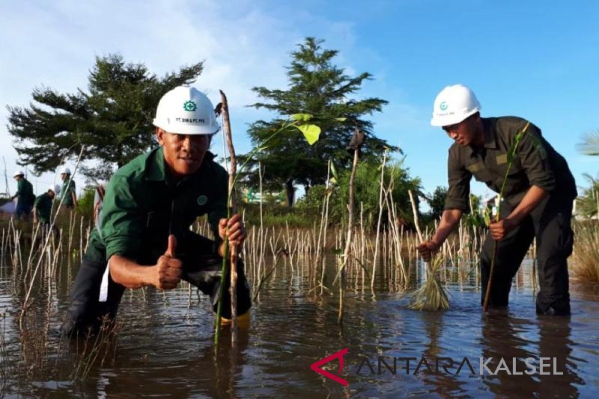 Anak usaha PT Astra Agro Lestari lakukan tanam Mangrove