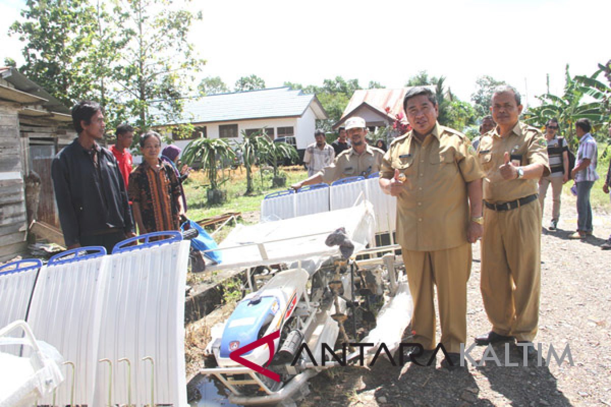 Petani Penajam disarankan pakai pola tanam 