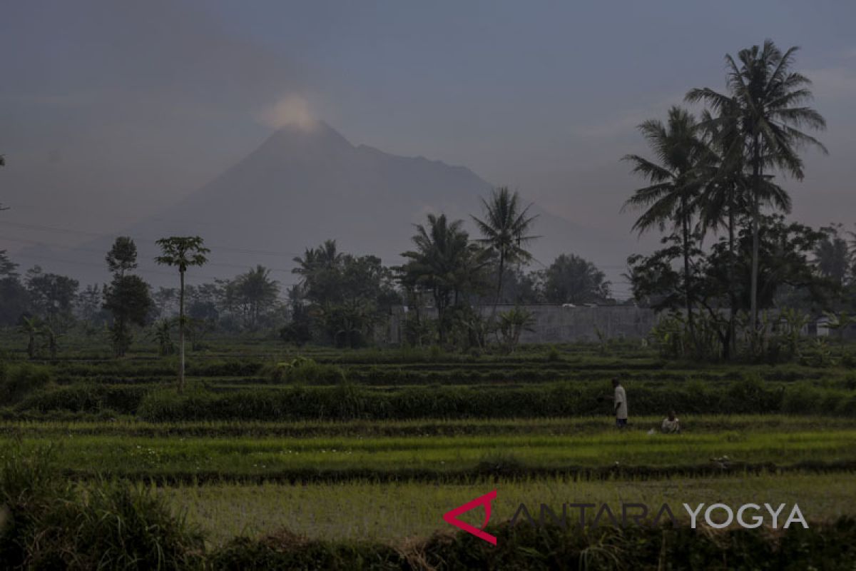 PVMBG: aktivitas magma Merapi masih landai
