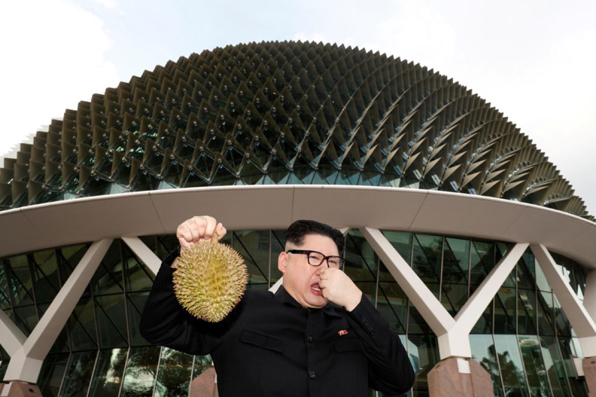 Ilmuwan di Singapura ubah limbah durian jadi perban anti bakteri
