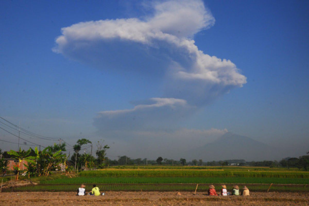 BMKG : Abu Merapi bergerak ke Samudera Hindia