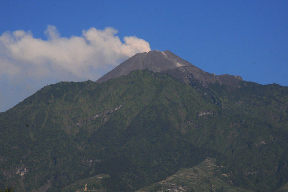 Puluhan pendaki Merapi turun dari puncak