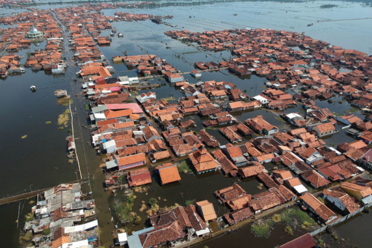 BPBD: korban banjir di Konewane mengungsi ke gedung sekolah