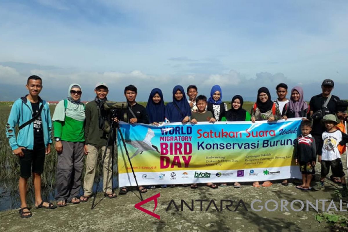 BIOTA: 94 Spesies Burung Hidup di Danau Limboto