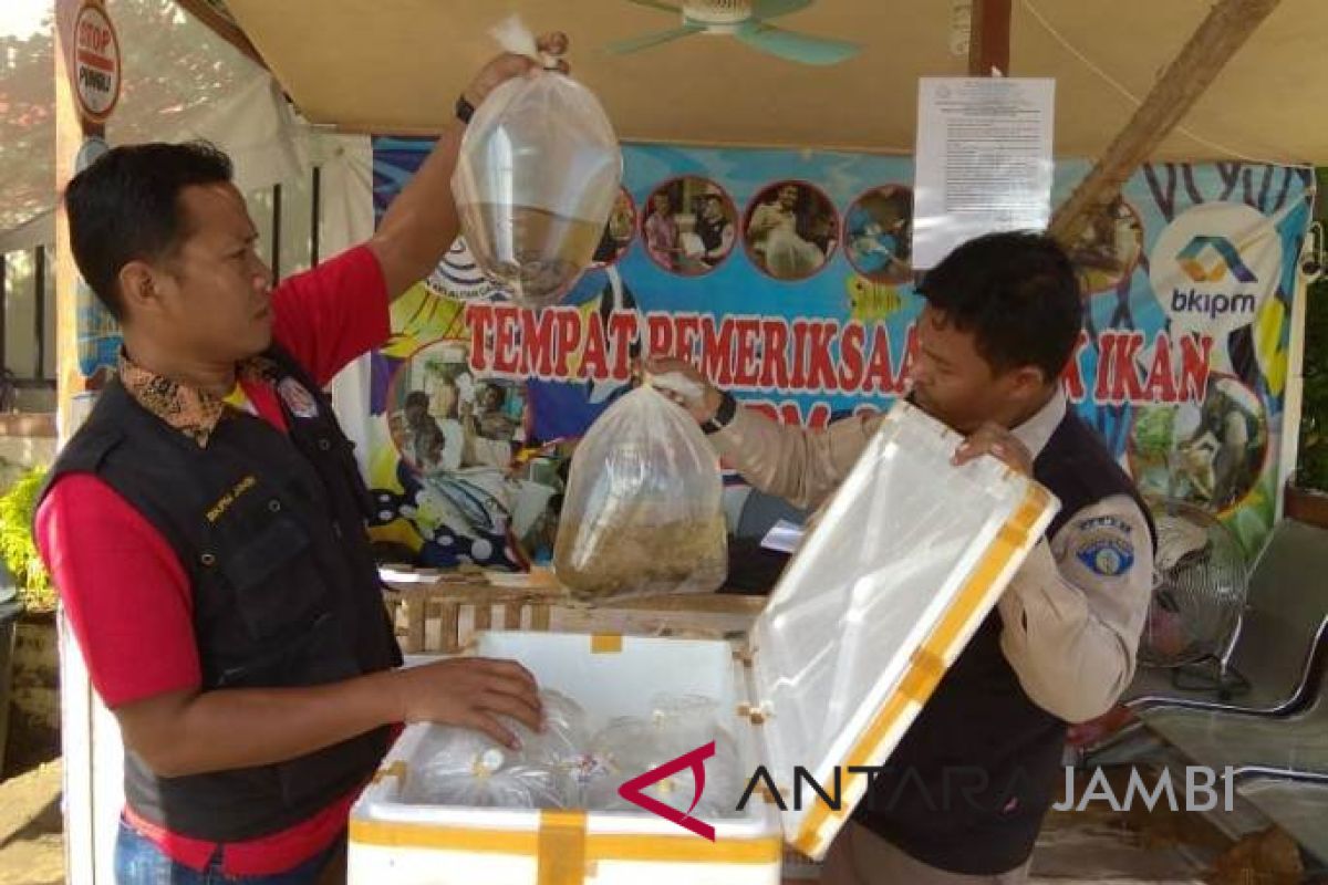 PNBP BKIPM Jambi capai Rp176,61 juta