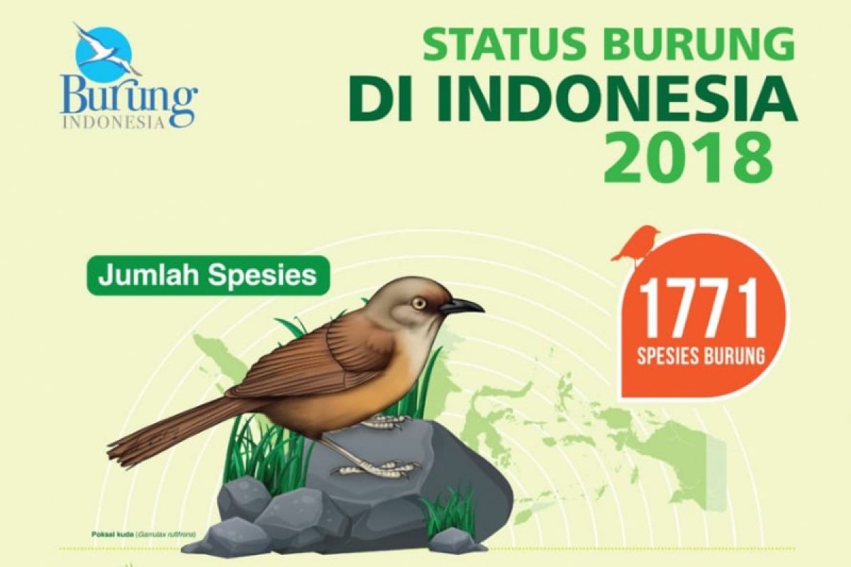 Jenis Burung Khas Indonesia Bertambah Lagi