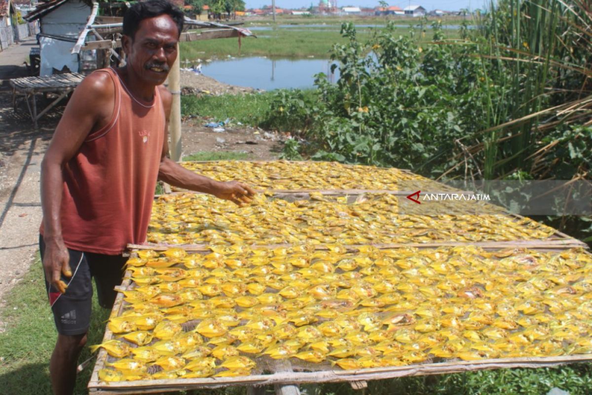 Musim Kemarau, Produksi Ikan Asin di Probolinggo Meningkat