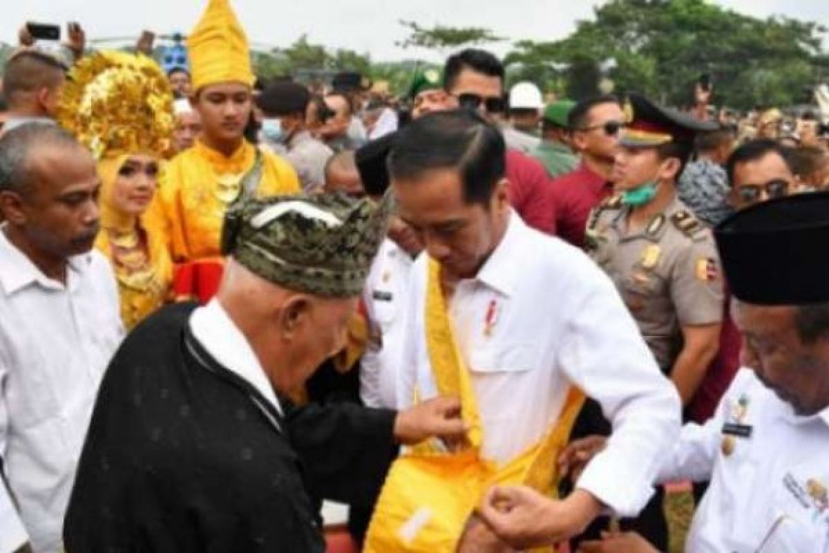Dipasangkan Tanjak dan Disambut Ribuan Warga Rohil, Presiden Jokowi Luncurkan Program Peremajaan Sawit Rakyat
