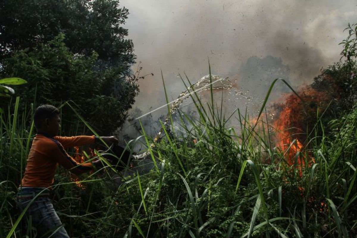 Kebakaran lahan gambut di Riau