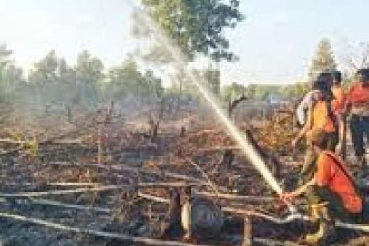 Hingga Akhir Mei 2018 ini Sudah 1.870,96 Hektare Lahan Terbakar di Riau