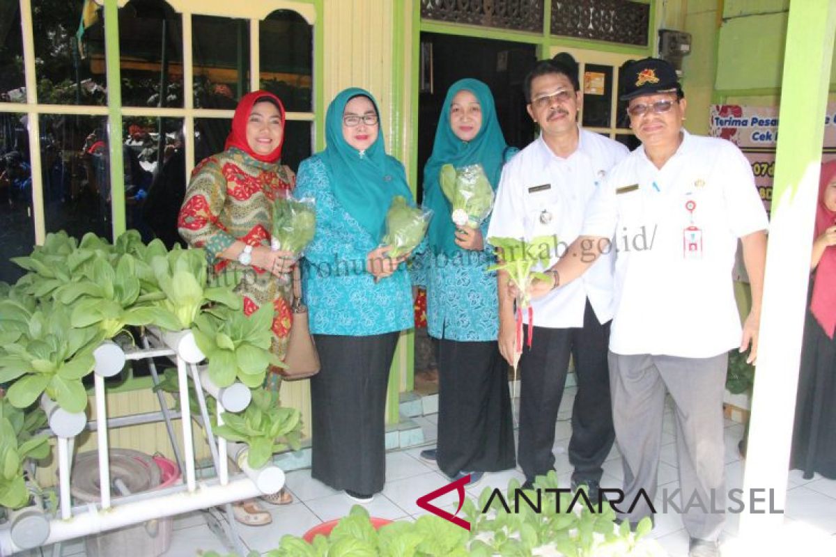 Kembangkan Kampung Hydroponic