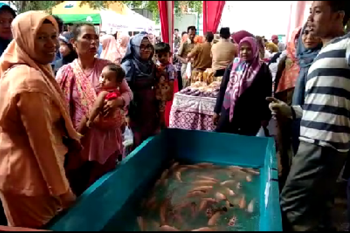 DKP Jambi pastikan harga ikan tetap stabil (video)