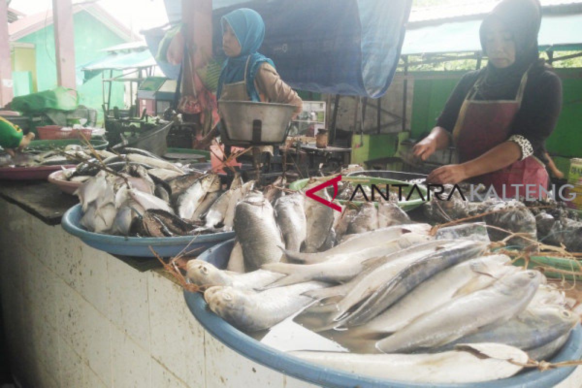 Pasokan ikan laut di Seruyan semakin berkurang