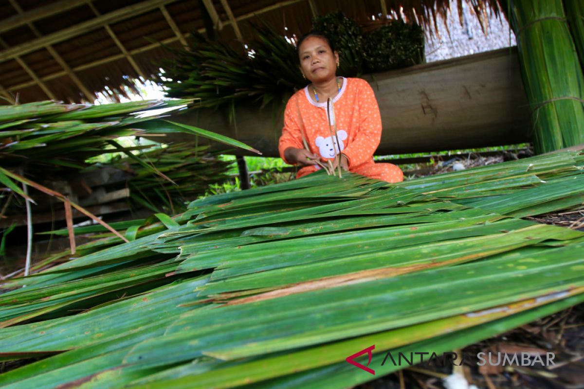 Tim inovasi Kabupaten Mentawai rekrutmen P2KTD