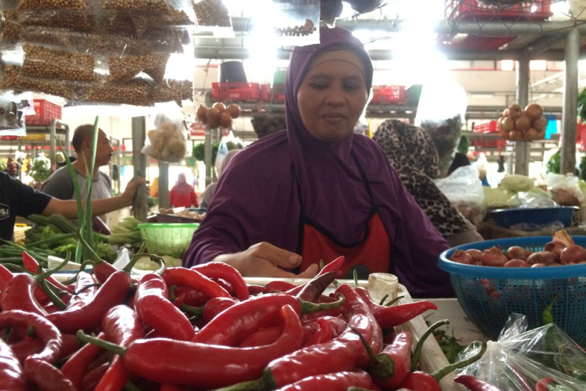 Tokoh Bali inginkan gubernur yang berani