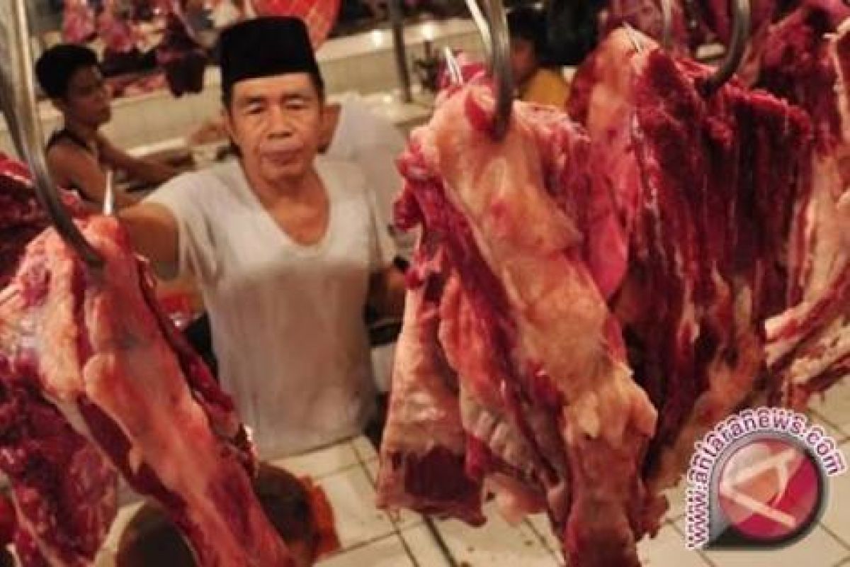 Tapsel harga daging sapi mencapai 140 ribu lainnya normal